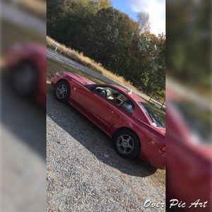 2004 Mustang 40th Anniversary